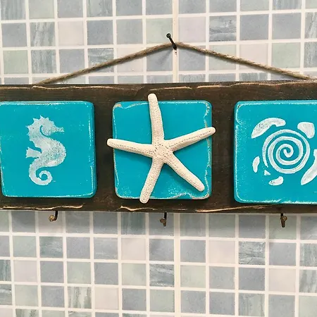 Ocean Life Güime
